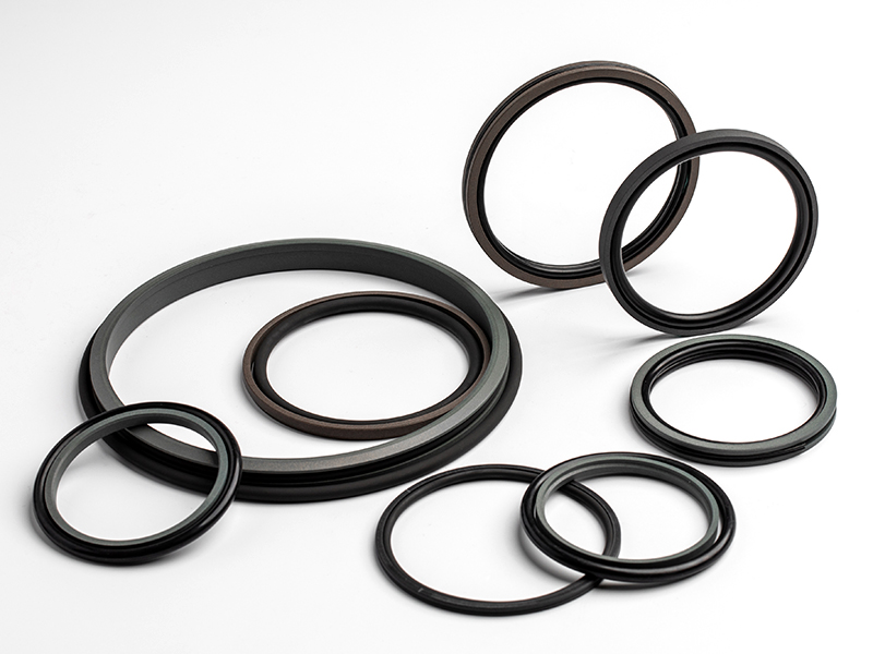 Bộ con dấu trượt PTFE / PTFE Glide Seals Set image